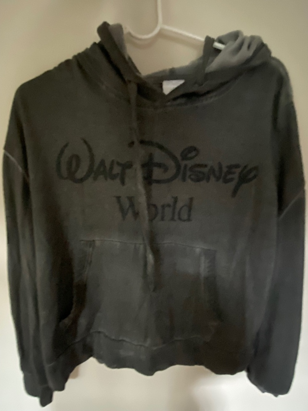 Disney World hoodie